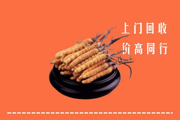 高价求购：淅川县回收散虫草