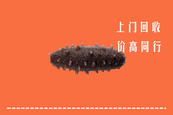 高价求购：淅川县回收海参