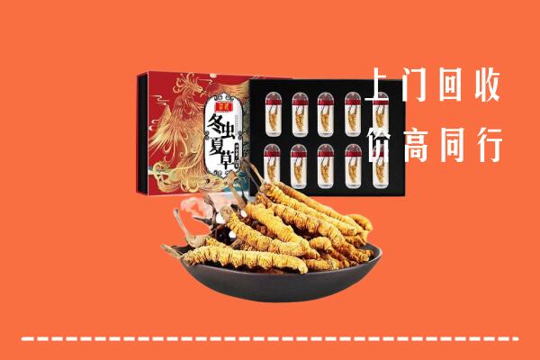淅川县回收虫草